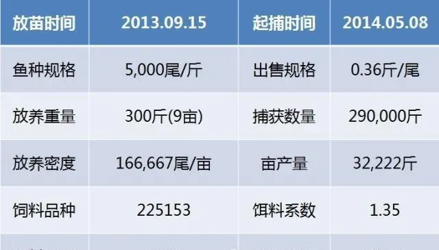 温泉水养殖白鲳用嘉吉膨化料亩纯利两万多