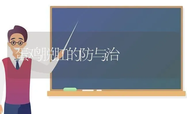 蛋鸡脱肛的防与治 | 家禽养殖