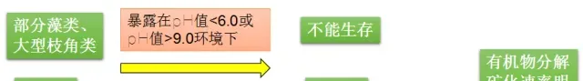 池塘水质pH值介绍及调控解决方案！