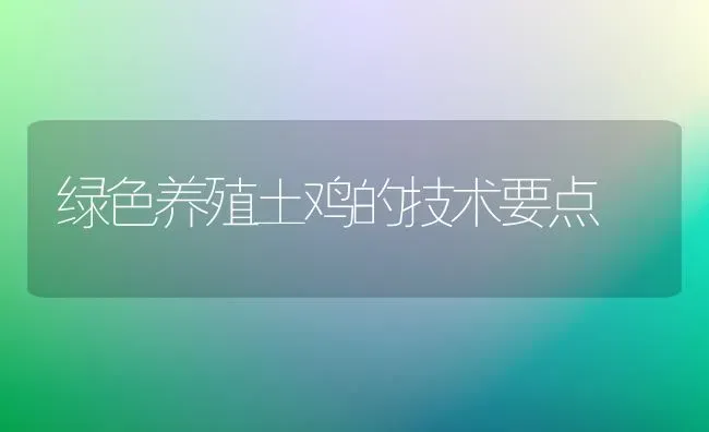 绿色养殖土鸡的技术要点 | 家禽养殖