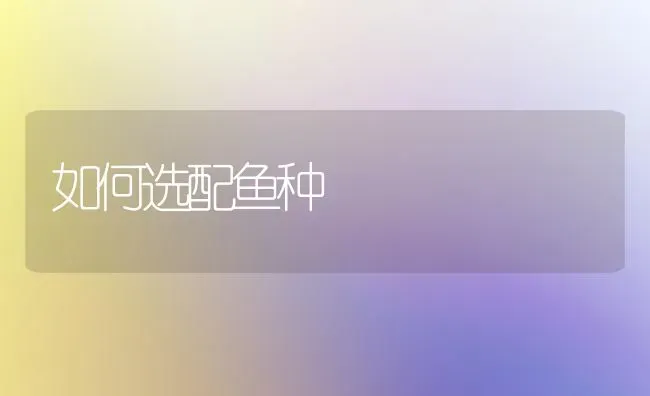 如何选配鱼种 | 淡水养殖