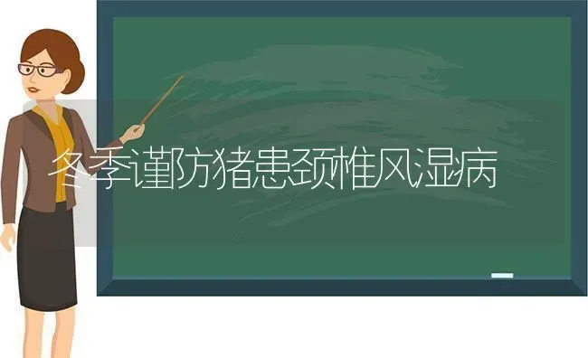 冬季谨防猪患颈椎风湿病 | 家畜养殖