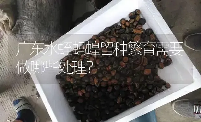 广东水蛭蚂蝗留种繁育需要做哪些处理？ | 特种养殖