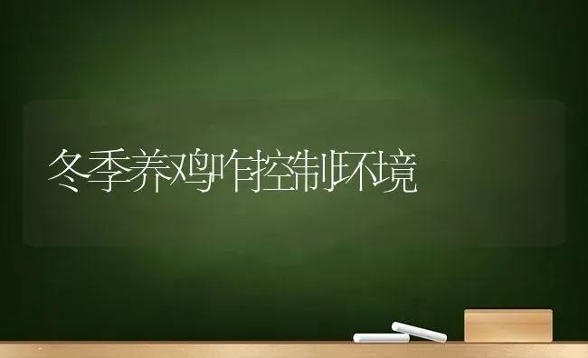 冬季养鸡咋控制环境 | 家禽养殖