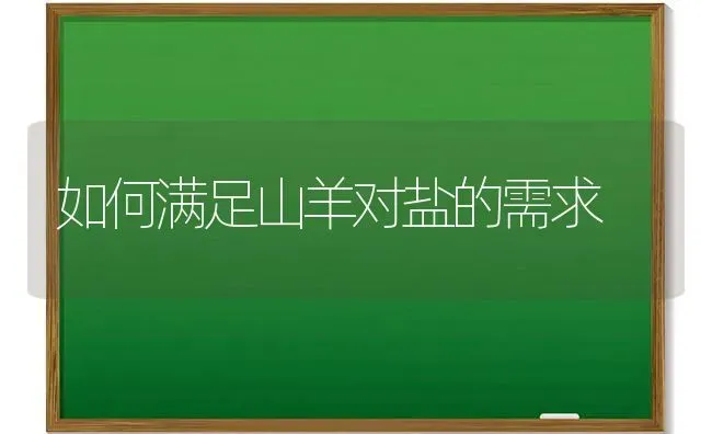 如何满足山羊对盐的需求 | 家畜养殖