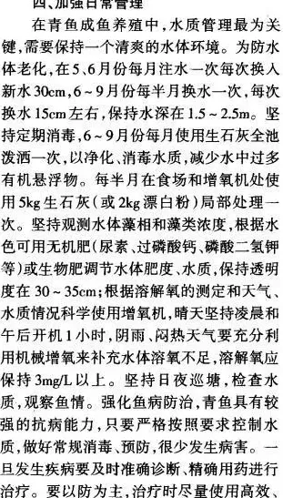 青鱼池塘高产养殖技术介绍