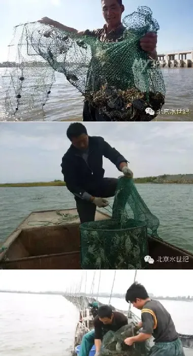 河蟹捕捞的五个方法和三个注意事项