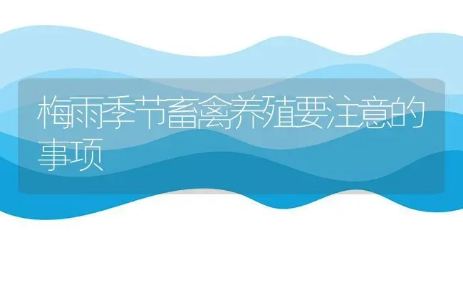 梅雨季节畜禽养殖要注意的事项 | 家禽养殖