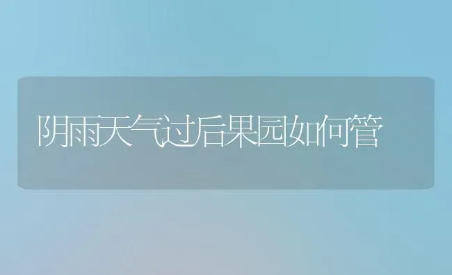 冬春畜禽发芽饲料的制作技术 | 动物养殖饲料