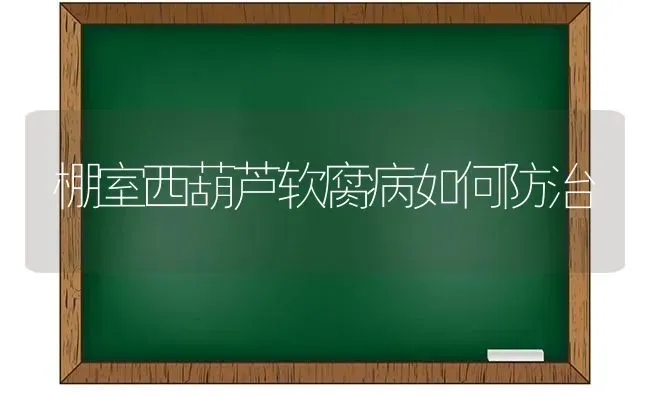 给猪分群与并群要讲方法 | 家畜养殖