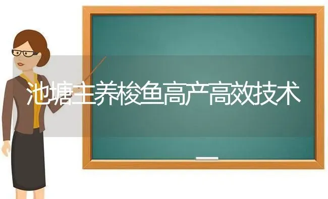 池塘主养梭鱼高产高效技术 | 动物养殖百科