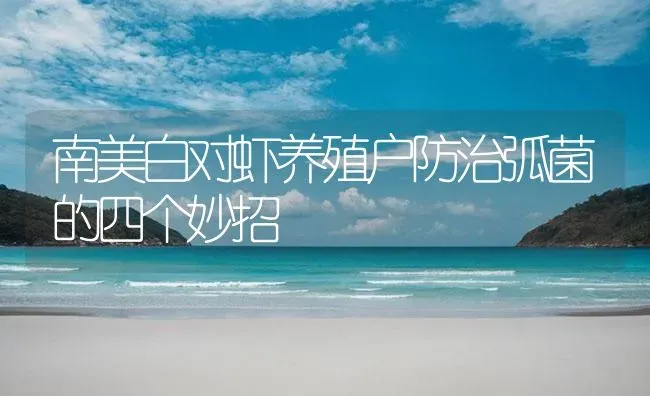 南美白对虾养殖户防治弧菌的四个妙招 | 海水养殖