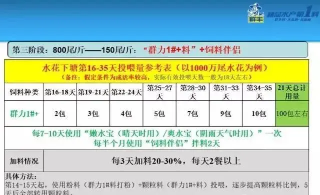 塘鲺标苗现状与难点、塘鲺鱼标苗技术与关键点