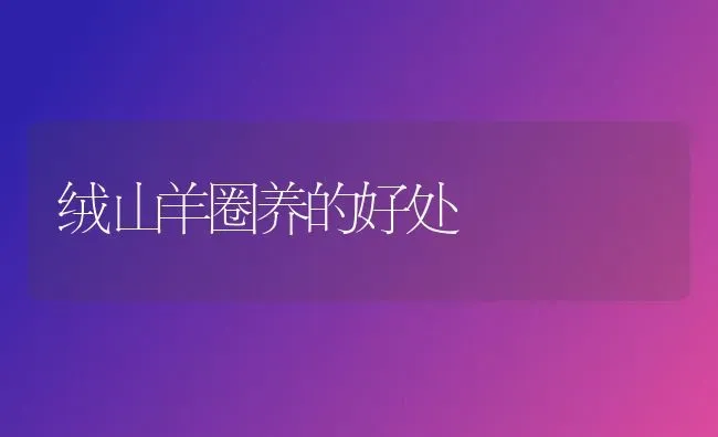 绒山羊圈养的好处 | 家畜养殖