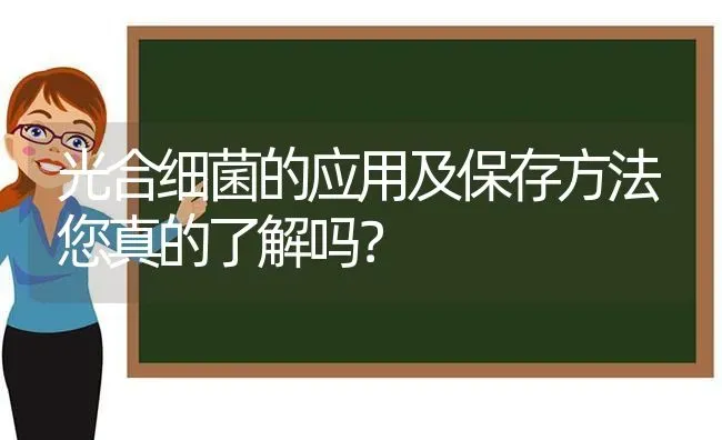 光合细菌的应用及保存方法您真的了解吗？ | 动物养殖百科