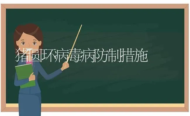 猪圆环病毒病防制措施 | 家畜养殖