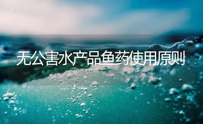 无公害水产品鱼药使用原则 | 养殖病虫害防治