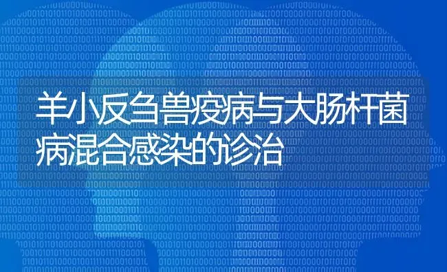 羊小反刍兽疫病与大肠杆菌病混合感染的诊治 | 家畜养殖