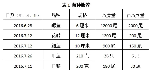 超详细养殖技术分享！创新养殖模式，反季节养鳜鱼卖出好价钱