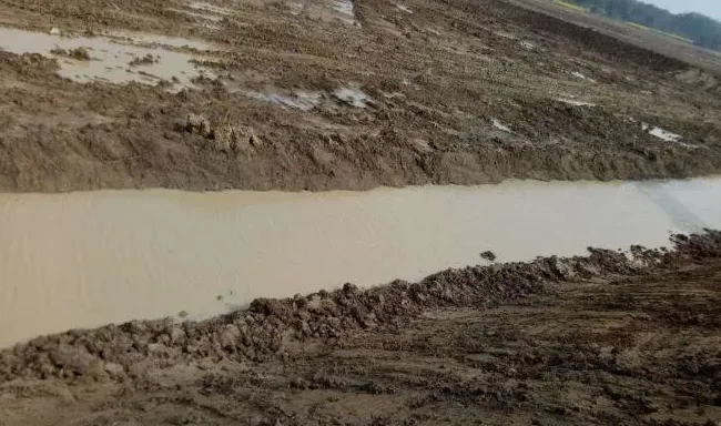 养鱼池塘能直接做小龙虾精养池塘吗？
