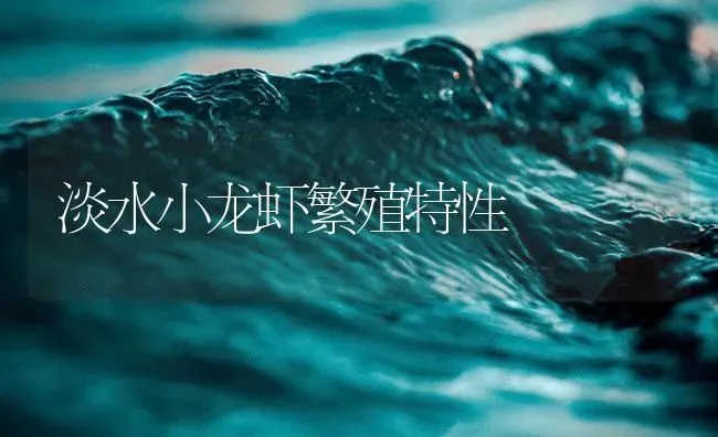 淡水小龙虾繁殖特性 | 海水养殖