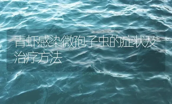 青虾感染微孢子虫的症状及治疗方法 | 海水养殖