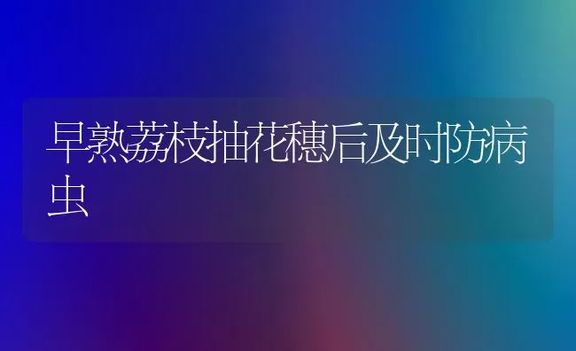 早熟荔枝抽花穗后及时防病虫 | 淡水养殖