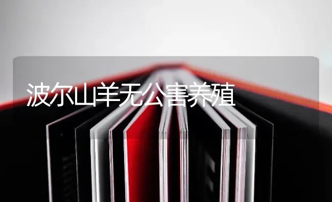波尔山羊无公害养殖 | 家畜养殖