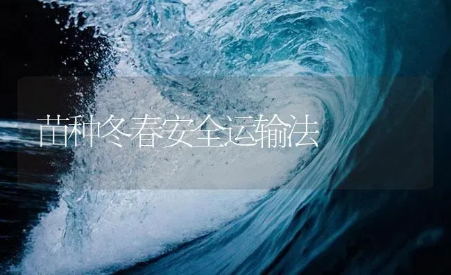 苗种冬春安全运输法 | 淡水养殖