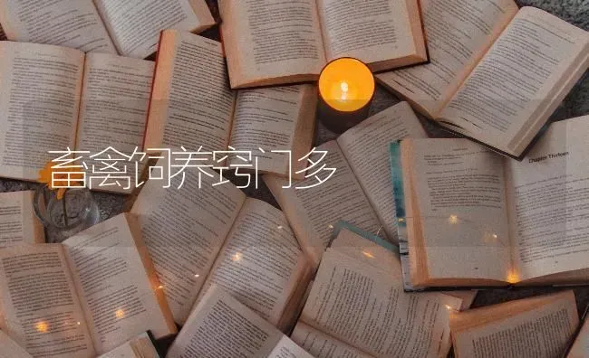 畜禽饲养窍门多 | 家禽养殖