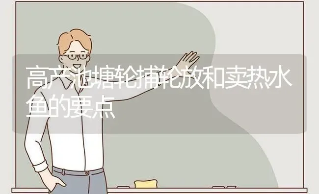 高产池塘轮捕轮放和卖热水鱼的要点 | 淡水养殖