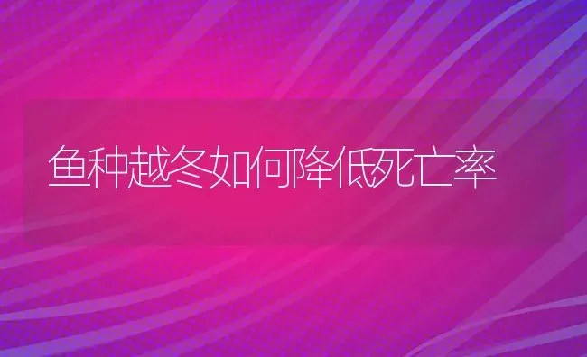 鱼种越冬如何降低死亡率 | 淡水养殖