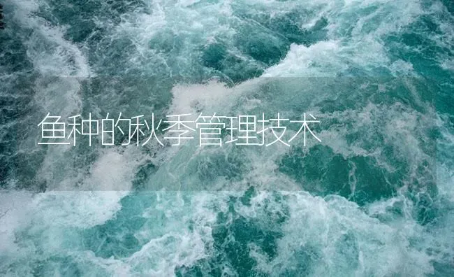 鱼种的秋季管理技术 | 淡水养殖