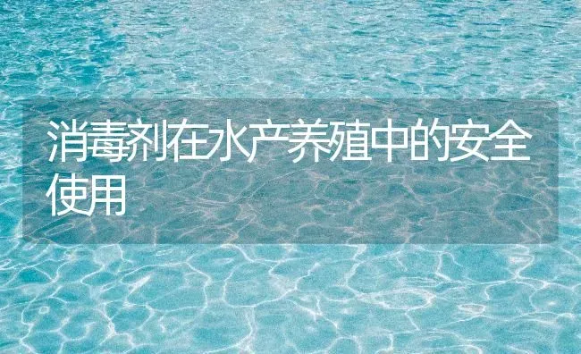 消毒剂在水产养殖中的安全使用 | 养殖病虫害防治