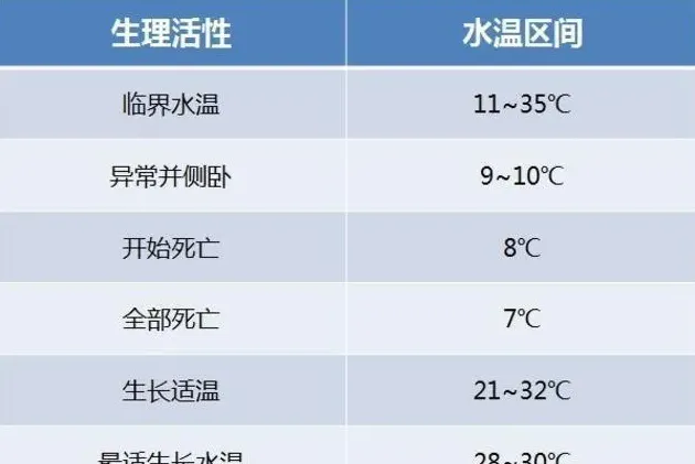 温泉水养殖白鲳用嘉吉膨化料亩纯利两万多