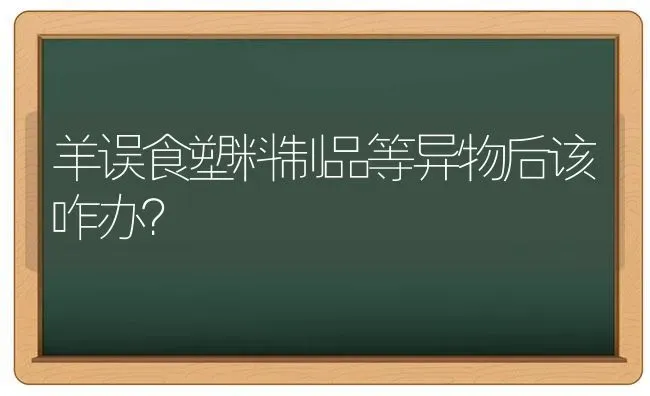 羊误食塑料制品等异物后该咋办？ | 家畜养殖