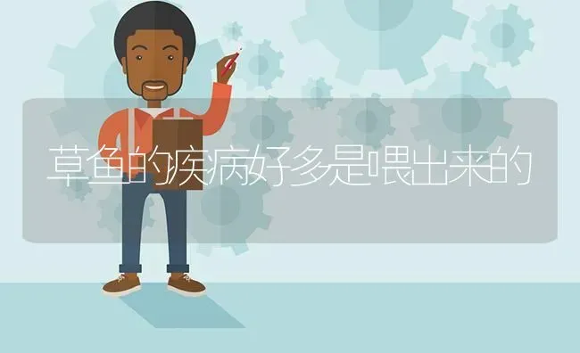 草鱼的疾病好多是喂出来的 | 淡水养殖
