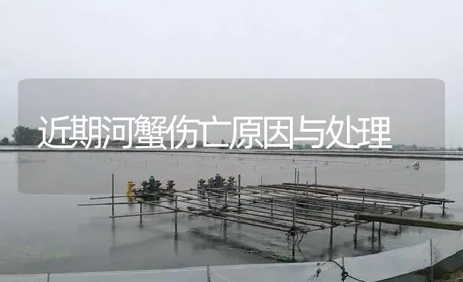 近期河蟹伤亡原因与处理 | 淡水养殖