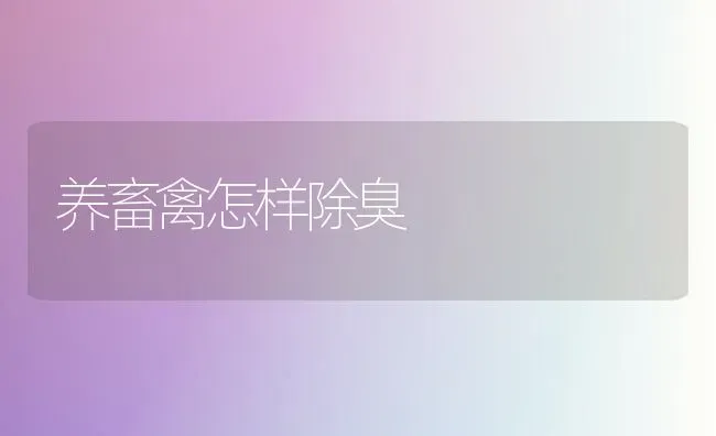 养畜禽怎样除臭 | 家禽养殖