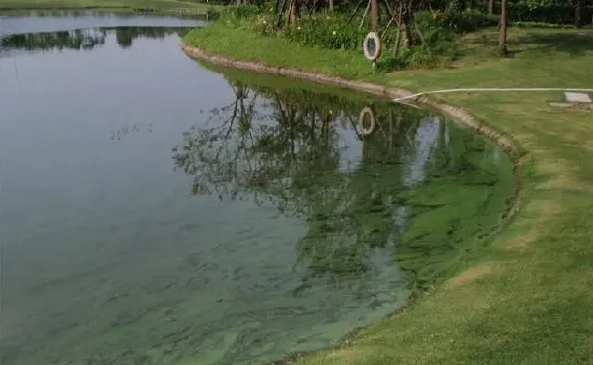 高温天气水产养殖的两大战役，我们该如何打响？