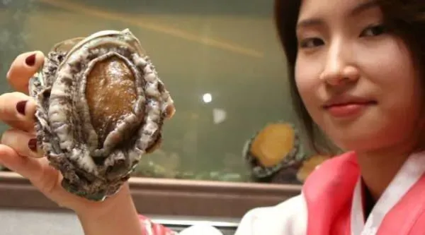 这12种水产品居然是抗癌神器？你经常吃哪些？