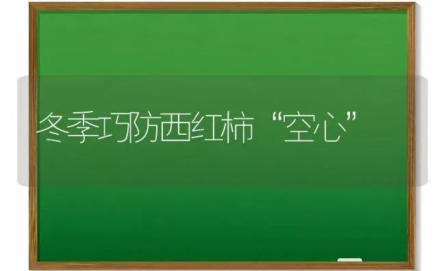 冬季利用大棚饲养肉鸡技术 | 家禽养殖