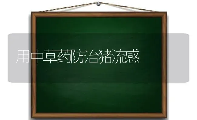 用中草药防治猪流感 | 养殖病虫害防治