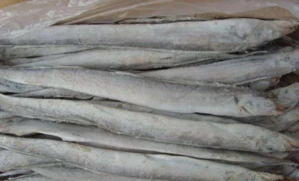 这12种水产品居然是抗癌神器？你经常吃哪些？