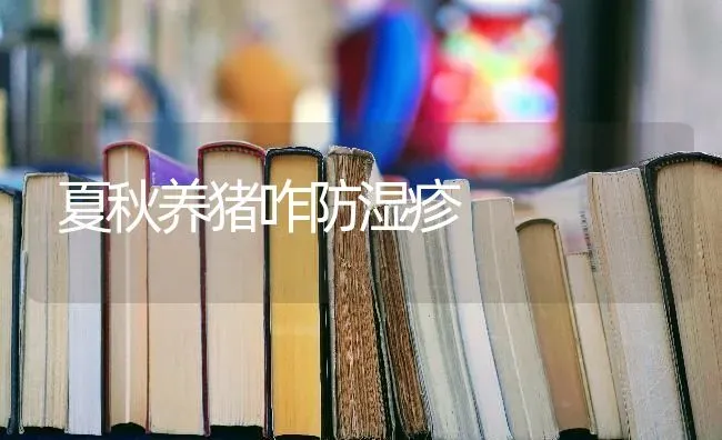 夏秋养猪咋防湿疹 | 家畜养殖
