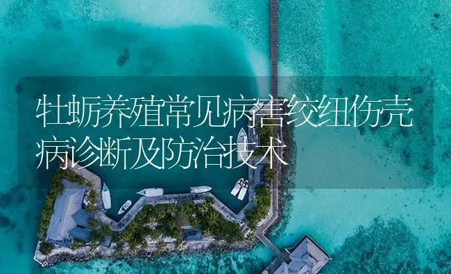 牡蛎养殖常见病害绞纽伤壳病诊断及防治技术 | 养殖病虫害防治