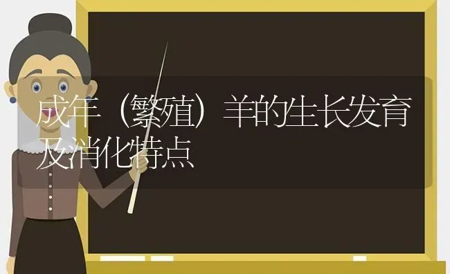 成年（繁殖）羊的生长发育及消化特点 | 家畜养殖