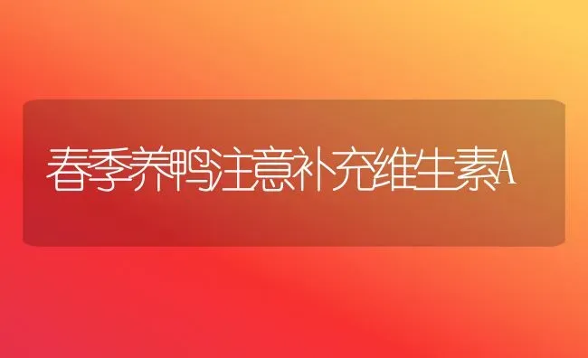 春季养鸭注意补充维生素A | 家禽养殖