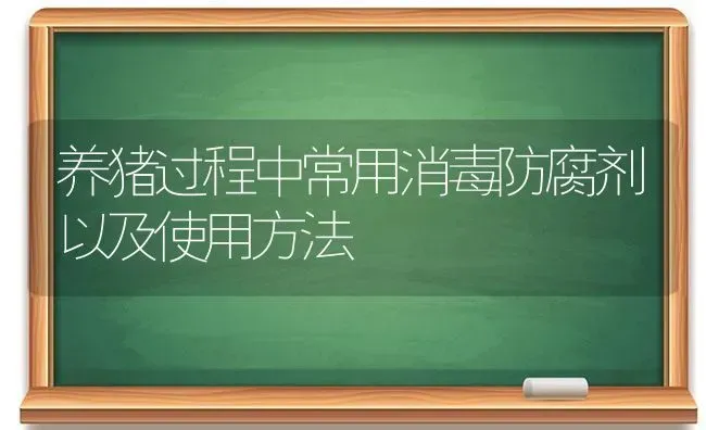 养猪过程中常用消毒防腐剂以及使用方法 | 家畜养殖