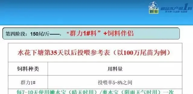 塘鲺标苗现状与难点、塘鲺鱼标苗技术与关键点